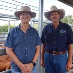 Buyers come from across the eastern states to purchase Injemira bulls