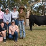 Prices remained strong for steers at Monto