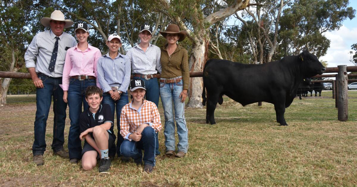 South Australia and Victorian autumn bull sale results | The Land