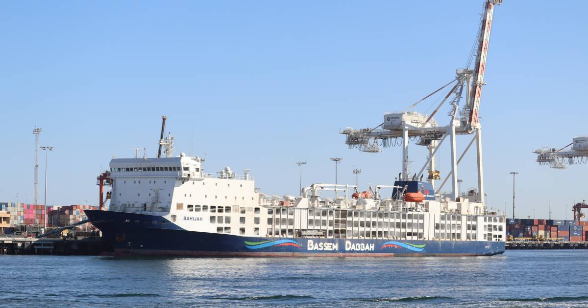 WA Govt assisting with docked live export vessel