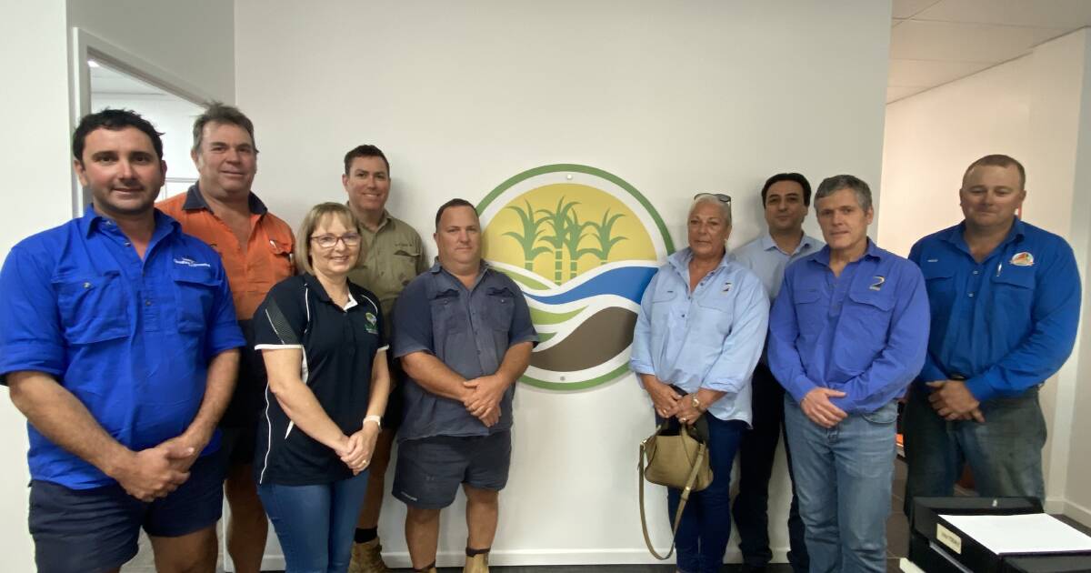 Michael Roncato steps down from Queensland Cane Agriculture and Renewables after 13 years | North Queensland Register