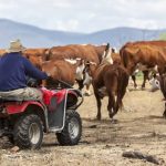 Professor Ross Kingwell receives GRDC Seed of Light award in Perth. | Farm Weekly