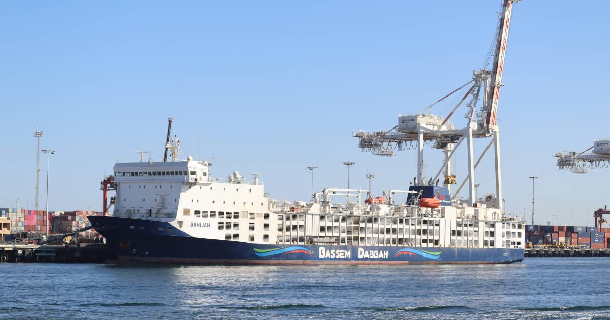 Live export vessel back in port for restocking