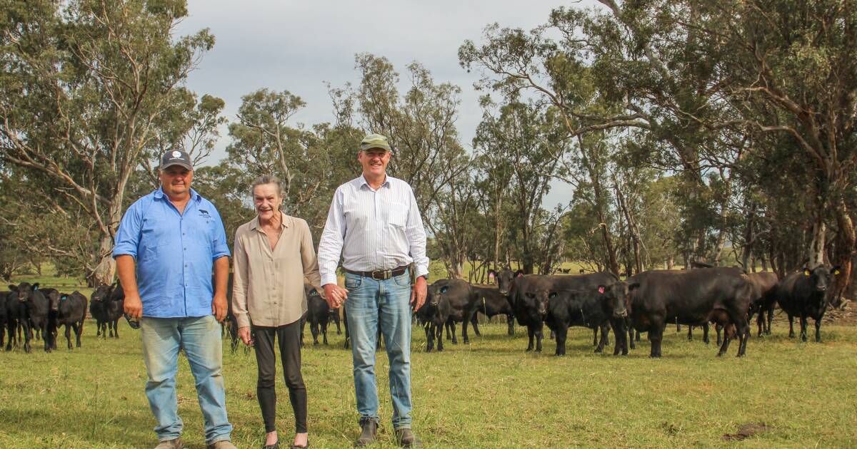 Beef Spectacular Feedback Trial 2024: Focus on meat quality for Shepstone Park