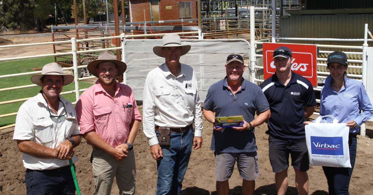 Blackrock Angus bull sale results a highlight. | Farm Weekly