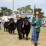 Photos from day four of the Nutrien Classic Campdraft and Sale