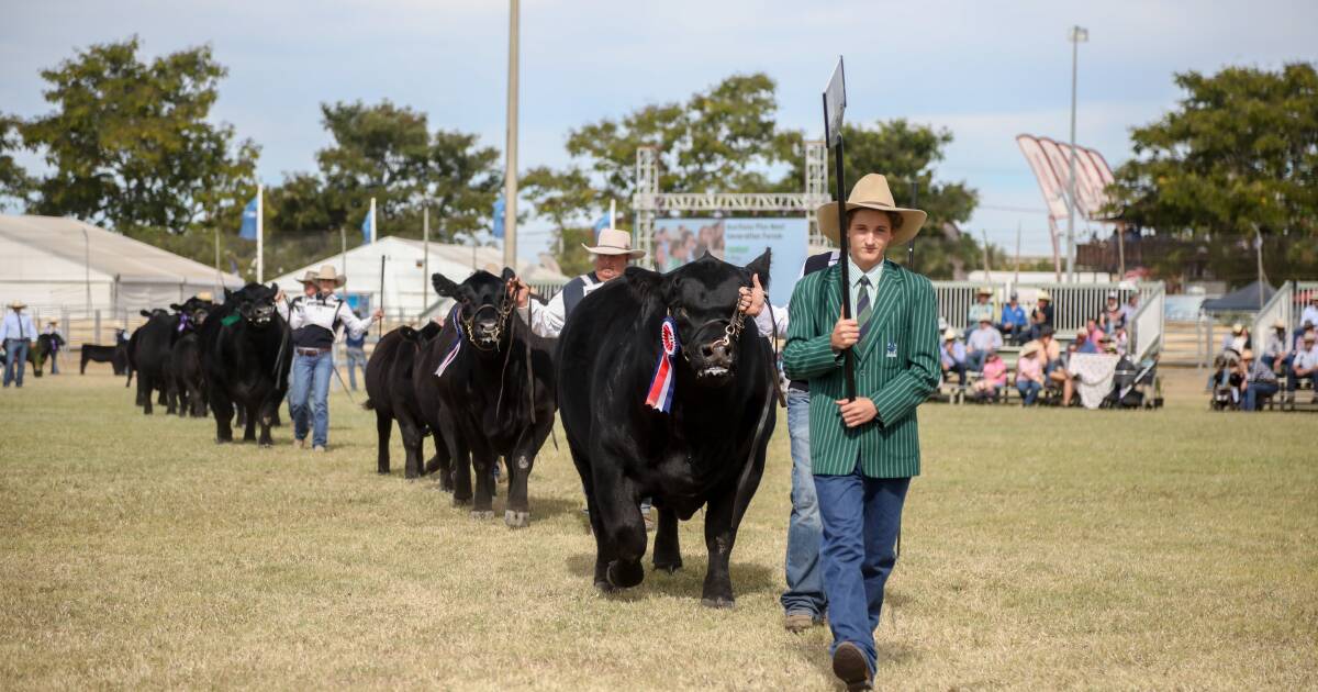 Stud cattle entries for Beef 2024 extended