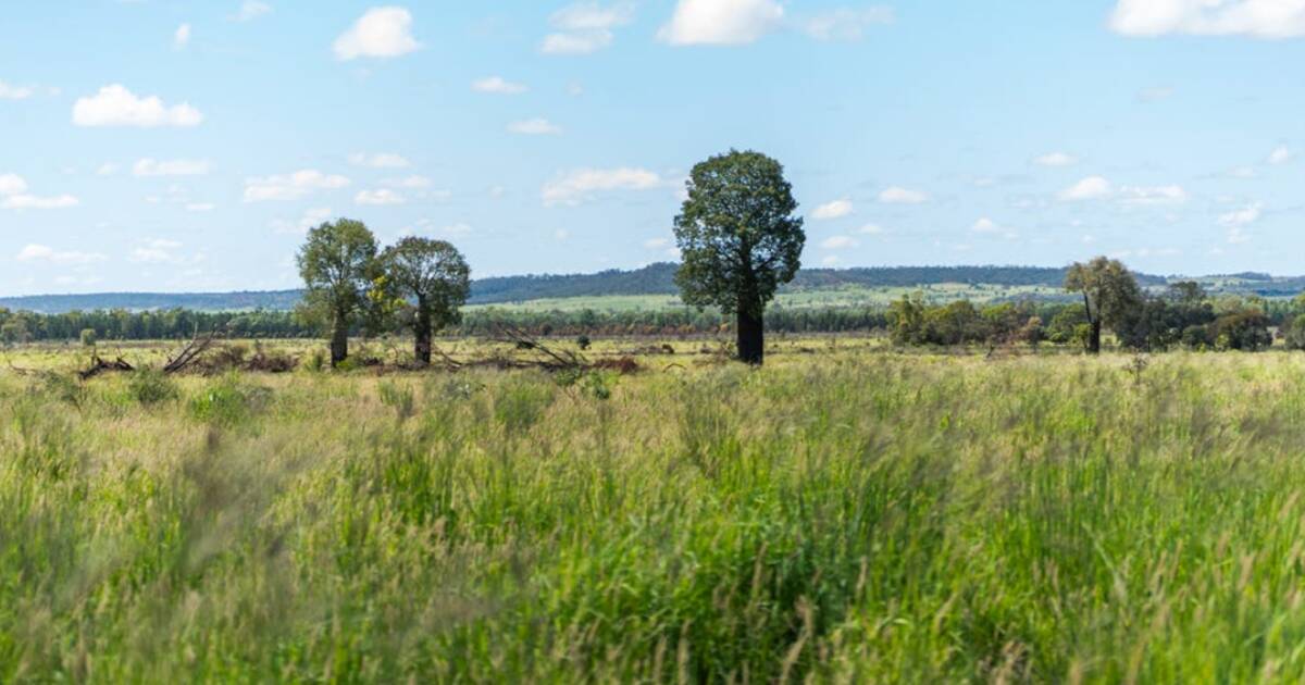 Exclusion fenced Maranoa property Mount Lonsdale back on the market