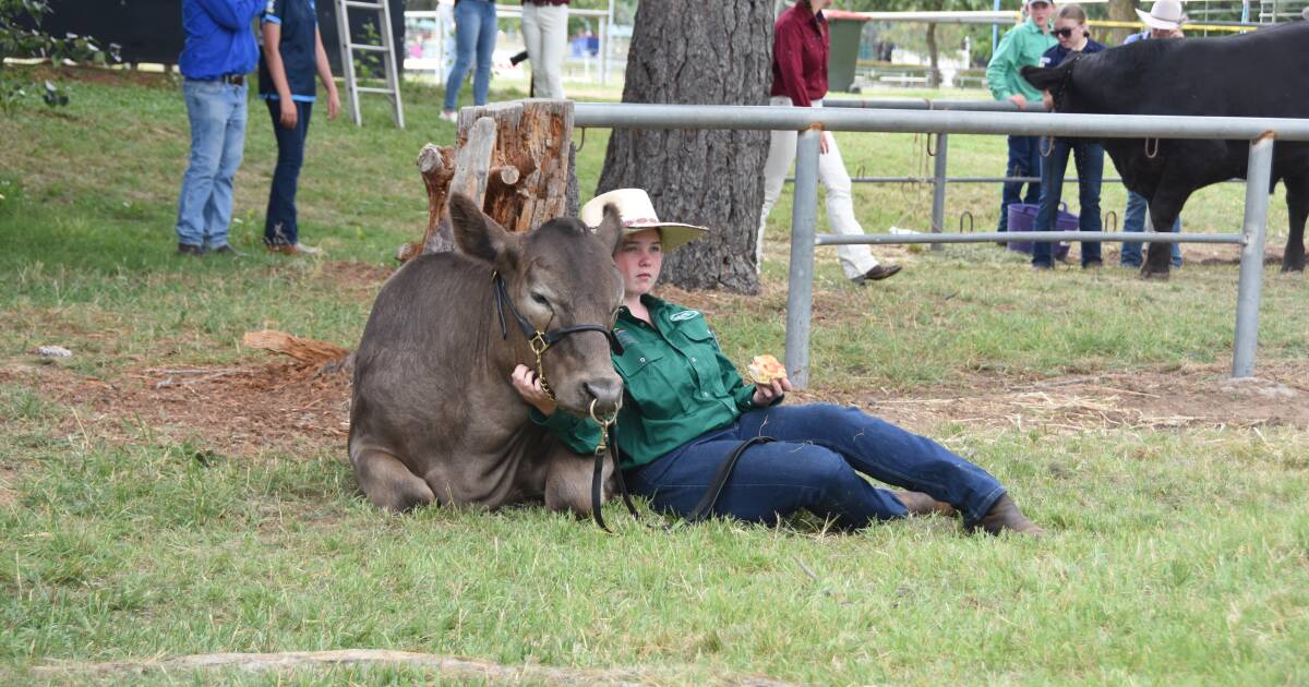 All the news from the 2024 Royal Canberra Show