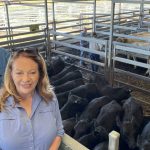 Strong Yarding at Elders Store Cattle Sale in Boyanup | Farm Weekly