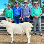 Dalby sale 21 Feb 2024: Numbers back to 4671