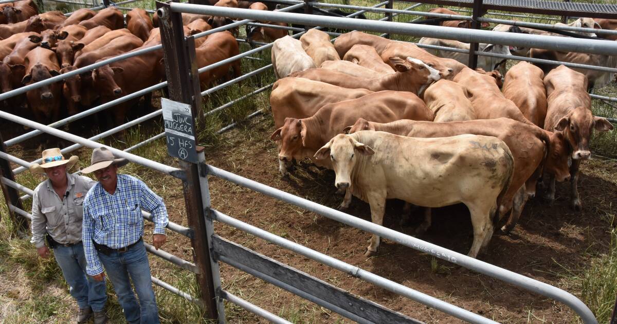 Positive start to Nebo sale calendar