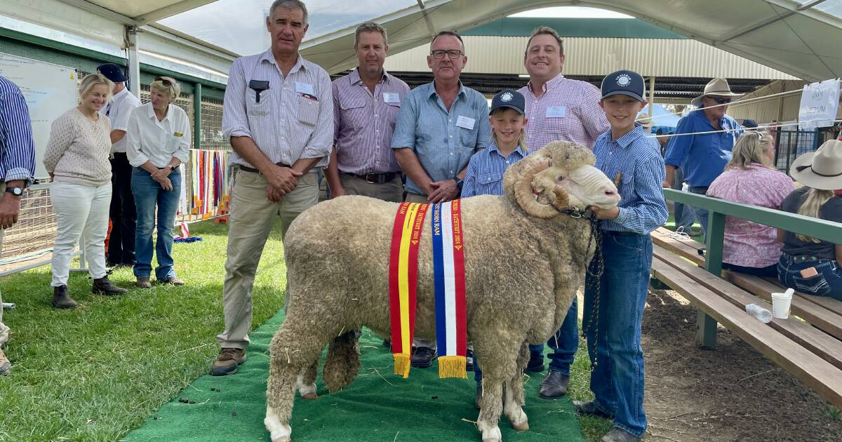 Great Southern Supreme Merino starts with a bang in Bathurst