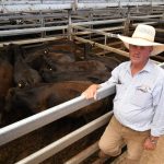 Killara Feedlot expansion approval will lift numbers to 22,250 head