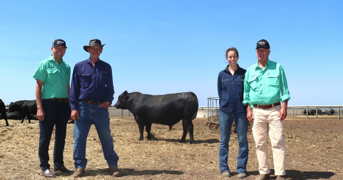 Arkle Angus sells to a top of $18,000