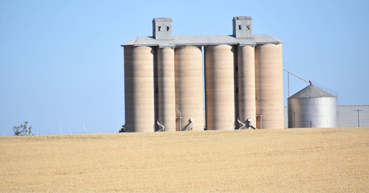 Grain growers to adapt to pricing squeeze this season