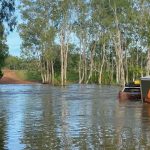 Townsville Correctional Centre prisoners clear up cyclone damage. | North Queensland Register