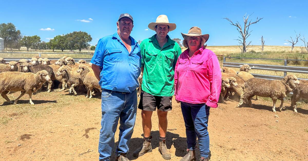 Cosgrove family crowned Mid Lachlan Flock Ewe Competition winners