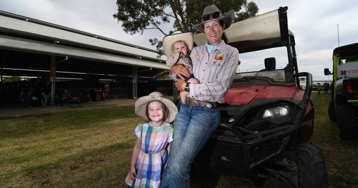 Webb Family prepares for Nutrien Classic Sale | North Queensland Register