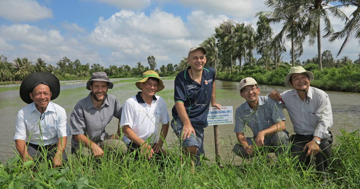 Juggling rice crops with prawn farming in the Mekong Delta