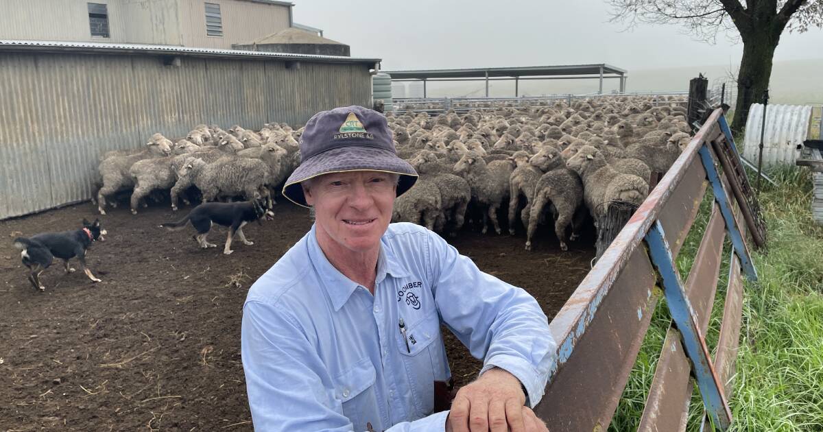 Coomber Merinos take the 25th annual Chris Naake Memorial competition