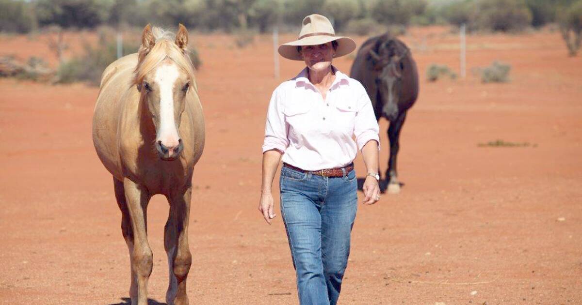 Dry conditions a test for pastoralists