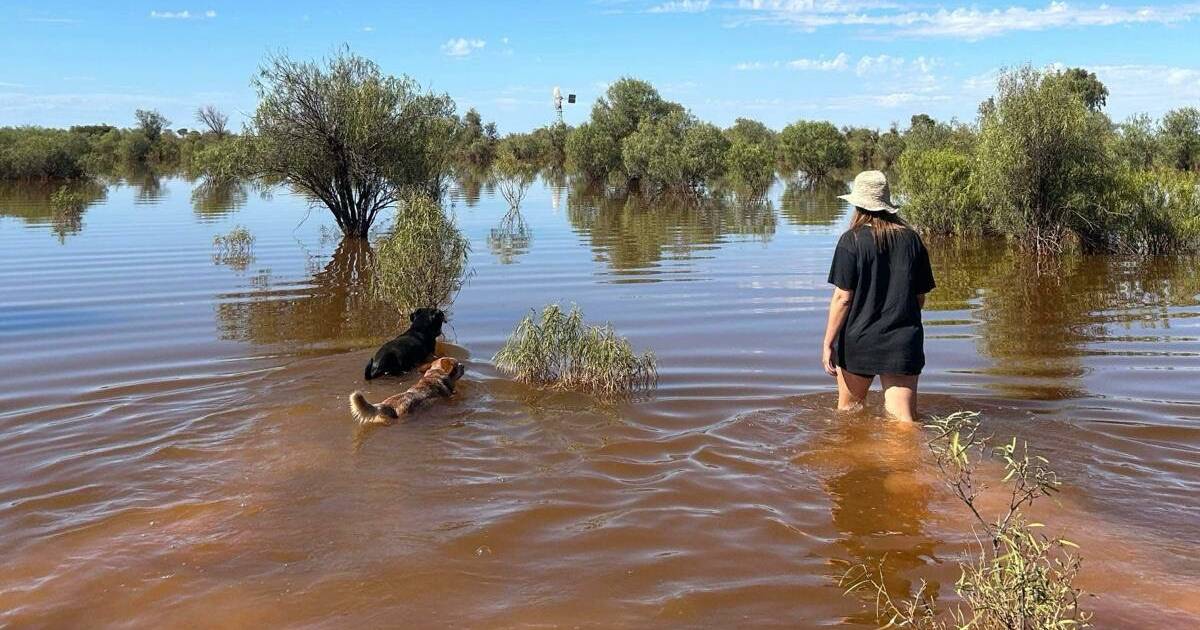 Drought finally breaks at Kanandah station