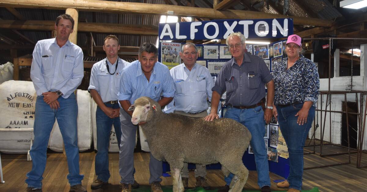 Alfoxton Dohne equal $3000