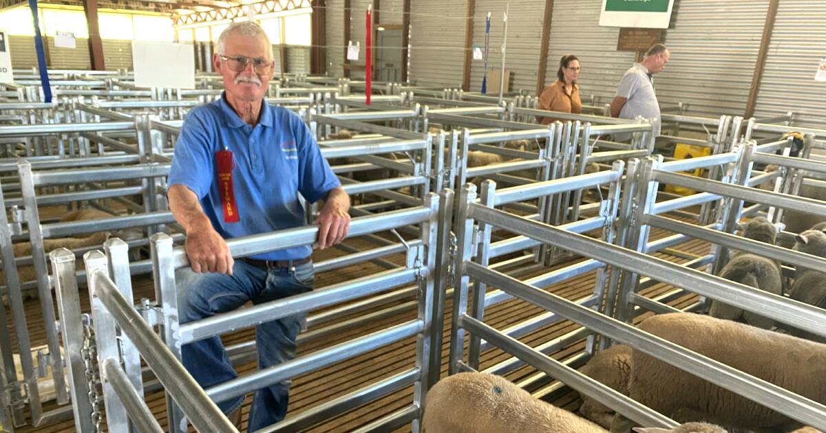 Graham Greenup keeping prime lamb competition alive for 40 years