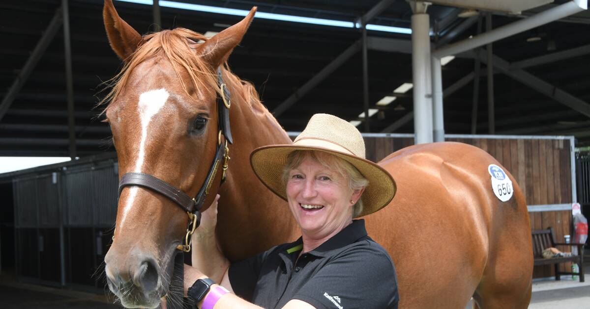 Tamworth trainer secures youngsters at Inglis Classic