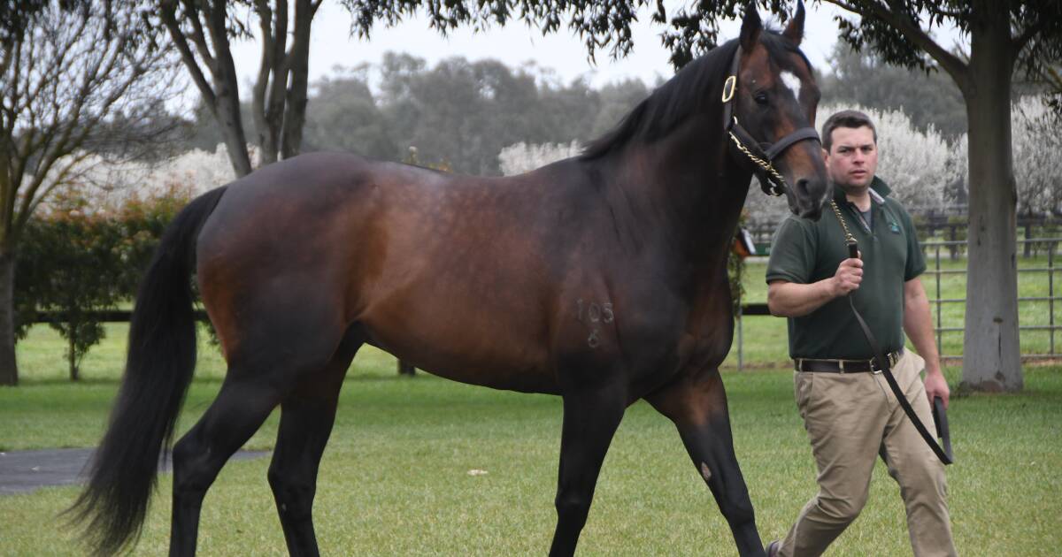 I Am Invincible leads the pack on sires list