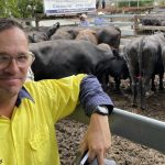 Solid herd size and composition data anticipated from producer survey