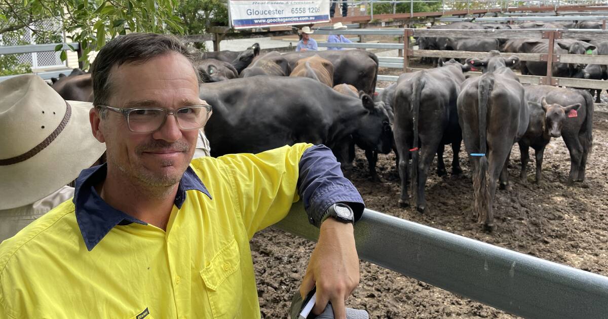 Gloucester special feature cows top at $2750, heifers top at $2050