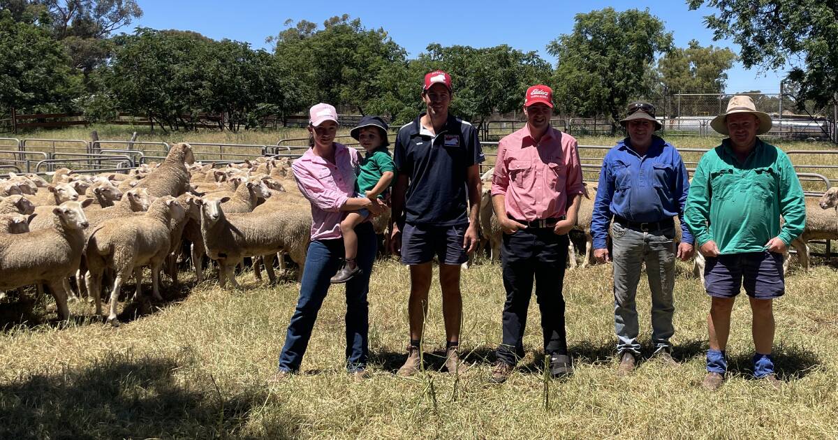 Strong local support underpins demand for Narrandera first-cross ewes