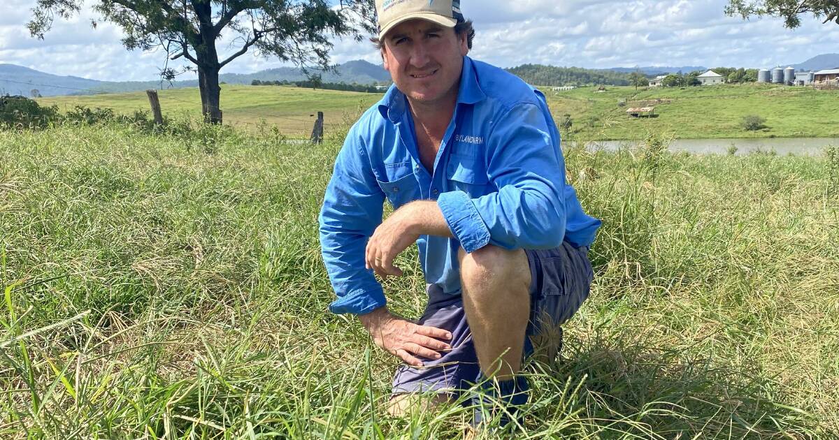 Boots on the ground: producers plea for support amid fire ant battle