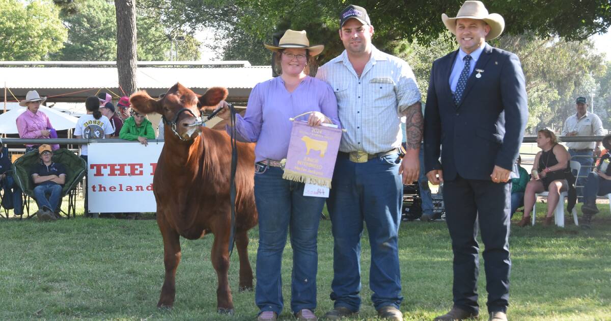 Limousin breed takes Jackpot clean sweep at Canberra Royal 2024