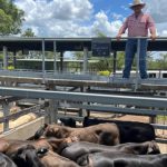 Mount Isa apprentice among growing number making switch to Hastings Deering