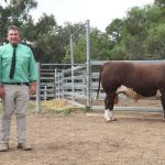 Cassowary Coast graziers paying high rates | North Queensland Register