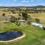 Bullocks to $1955 at Blackall