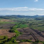 Palana Poll Dorset sell heavily into Northern Tablelands.