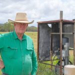 Clovernook Poll Merino top equals $3000