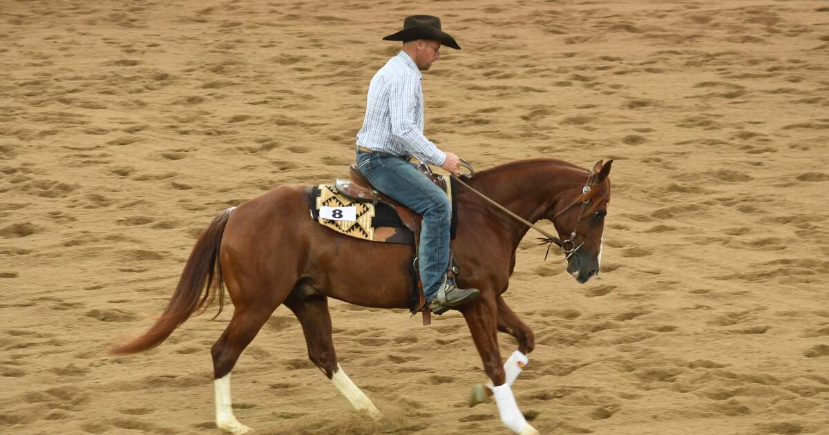 Northern support, private negotiations on day one of the Nutrien Classic sale