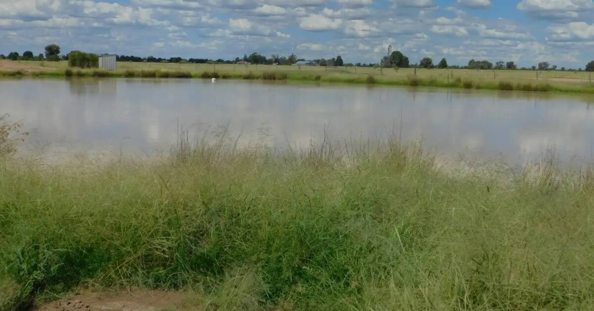 Western Downs farming, grazing country makes $1720/acre at auction