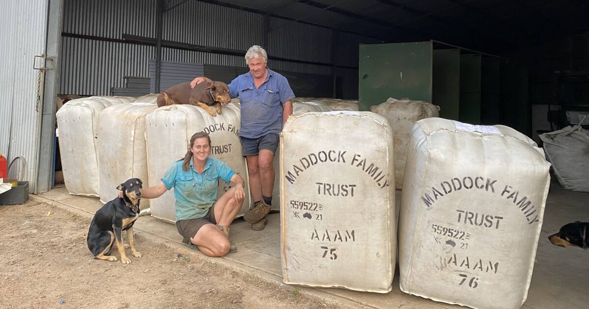 Rising Farmer: Sophie Maddock’s Journey in Agriculture | Farm Weekly