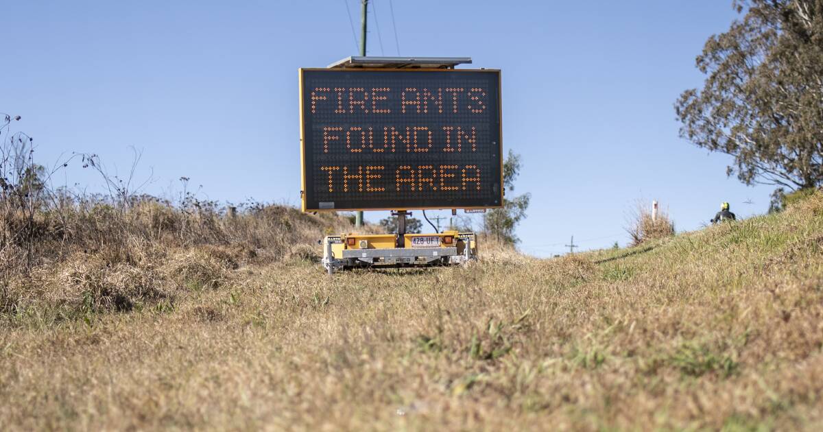 Beaudesert hay producers concerned over fire ant regulations | Queensland Country Life