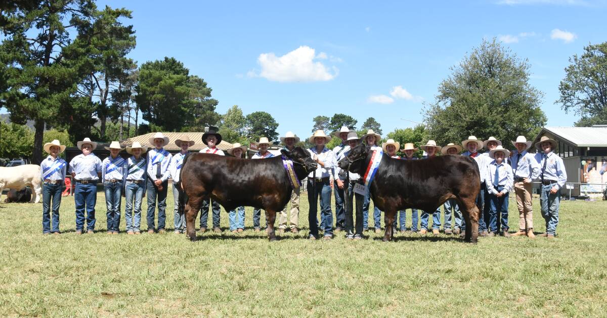 Limousin's claim top carcase ribbons at 2024 Royal Canberra Show