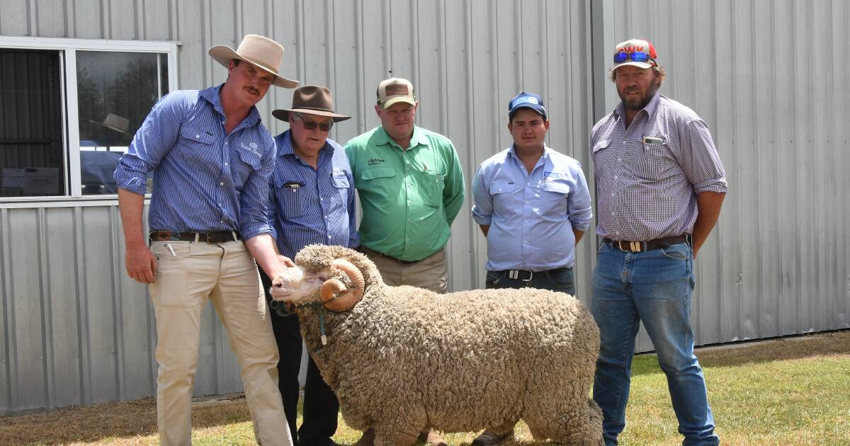 Westvale Merinos complete 40th anniversary sale.