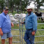 Nampara Angus' industry 'change-up' bull to NSW buyer