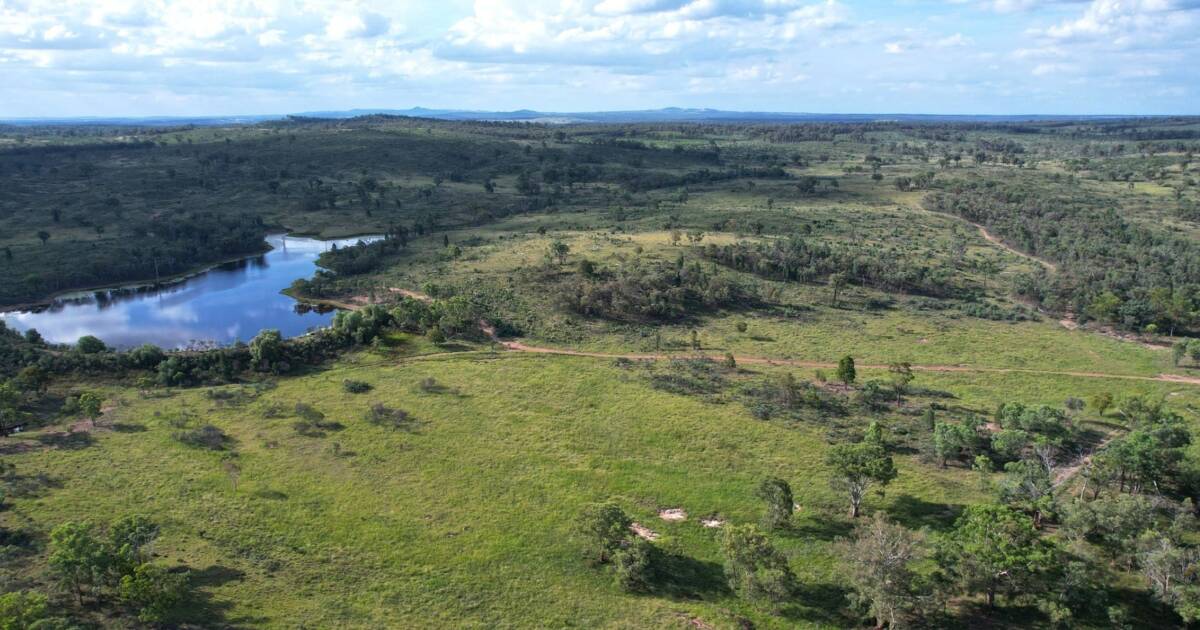 Mt Bodumba and Ballancar: Grazing country with irrigation potential