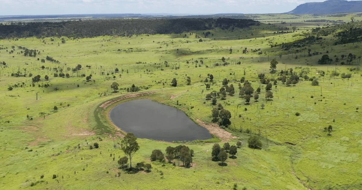 Highly developed, extremely well watered scrub soil property